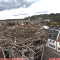 13_55-nest.jpg