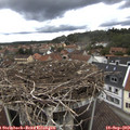 14_00-nest.jpg