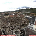 14_05-nest.jpg