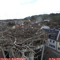 14_10-nest.jpg