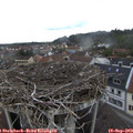 14_15-nest.jpg