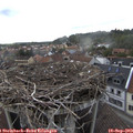 14_20-nest.jpg