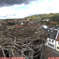 14_25-nest.jpg