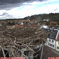 14_30-nest.jpg