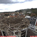 14_35-nest.jpg