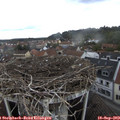 14_40-nest.jpg