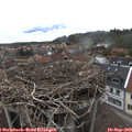 14_45-nest.jpg