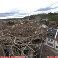 14_55-nest.jpg