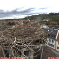 15_05-nest.jpg