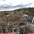 15_10-nest.jpg