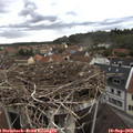 15_15-nest.jpg