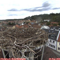 15_20-nest.jpg