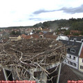 15_25-nest.jpg