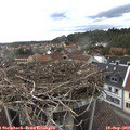 15_30-nest.jpg