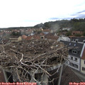 15_35-nest.jpg