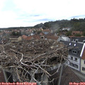 15_40-nest.jpg