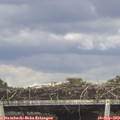 15_45-mast.jpg