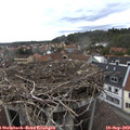 15_45-nest.jpg