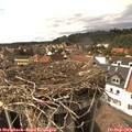 15_50-nest.jpg