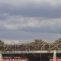 15_55-mast.jpg