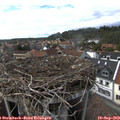 15_55-nest.jpg