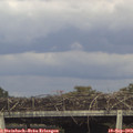 16_05-mast.jpg