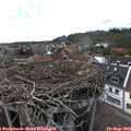 16_05-nest.jpg