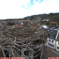 16_10-nest.jpg