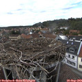 16_15-nest.jpg