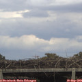 16_20-mast.jpg