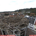 16_20-nest.jpg