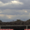 16_30-mast.jpg