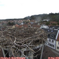 16_30-nest.jpg