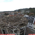 16_35-nest.jpg