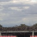 16_50-mast.jpg