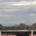 16_55-mast.jpg