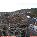 16_55-nest.jpg