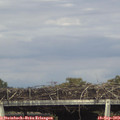 17_05-mast.jpg