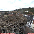 17_05-nest.jpg