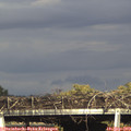 17_15-mast.jpg