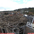 17_15-nest.jpg