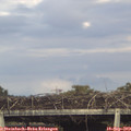 17_20-mast.jpg