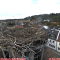 17_20-nest.jpg