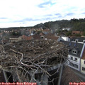 17_25-nest.jpg