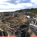 17_35-nest.jpg