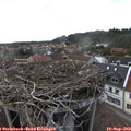 17_40-nest.jpg