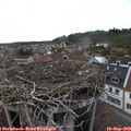 17_45-nest.jpg