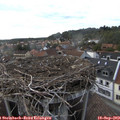 17_50-nest.jpg