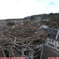 17_55-nest.jpg