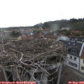 18_00-nest.jpg